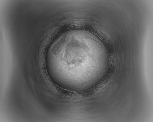 X0000115791009200911201327