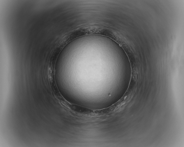 X0000115791010200911201327