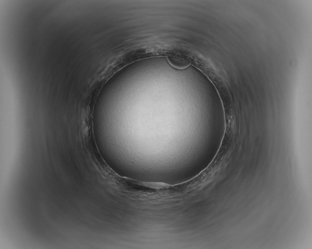 X0000115791012200911201327