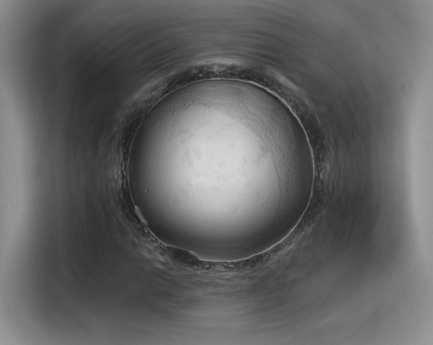 X0000115791014200911201327