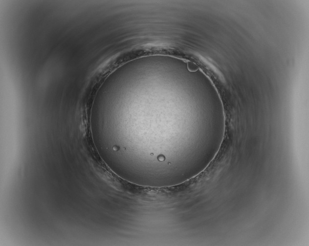 X0000115791015200911201328