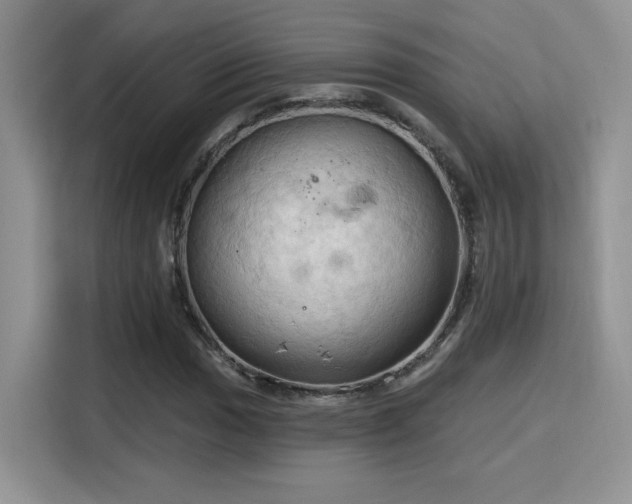 X0000115791017200911201328