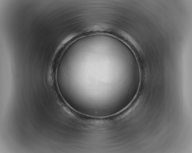 X0000115791018200911201328