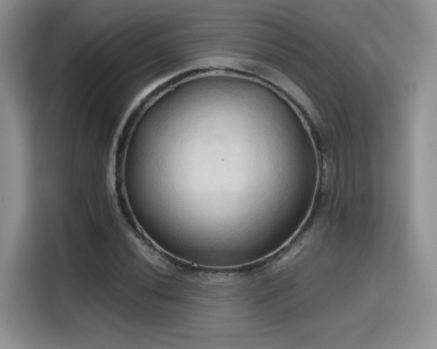 X0000115791020200911201328