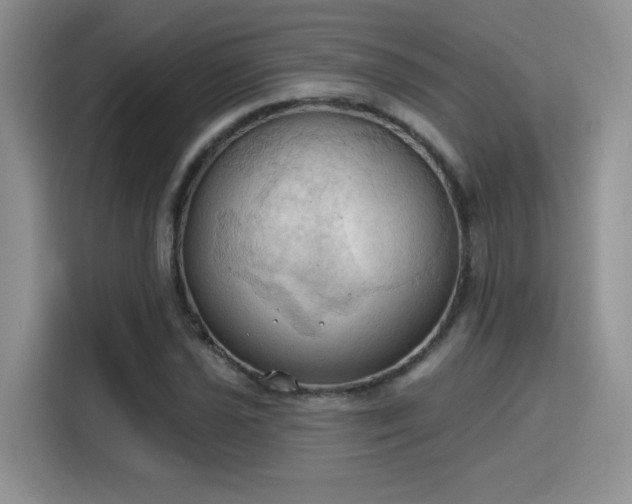 X0000115791021200911201328