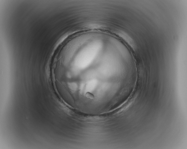 X0000115791023200911201328