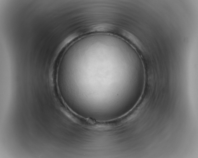 X0000115791026200911201328