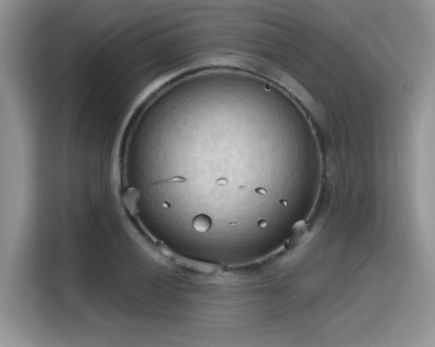 X0000115791028200911201328