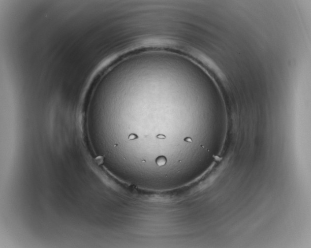 X0000115791029200911201328