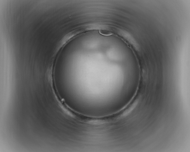 X0000115791033200911201328