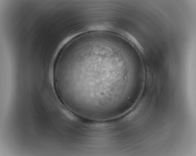 X0000115791035200911201328