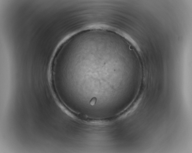 X0000115791037200911201328