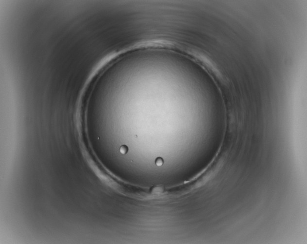 X0000115791038200911201328