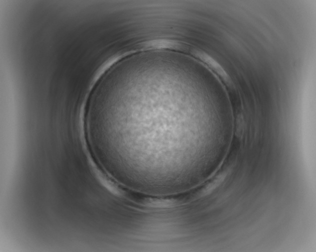 X0000115791039200911201328