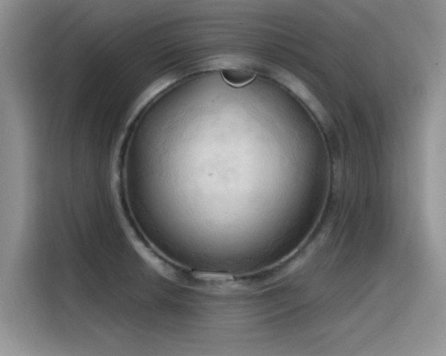 X0000115791042200911201328