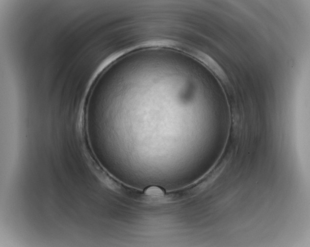 X0000115791044200911201328