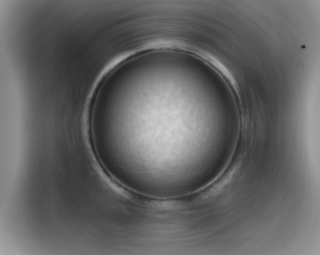 X0000115791045200911201328