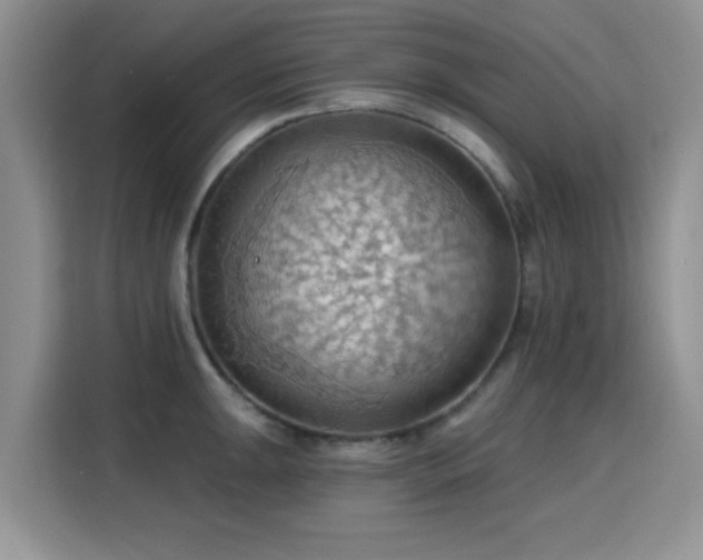 X0000115791047200911201328