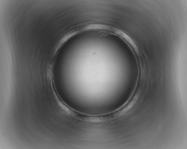 X0000115791049200911201328