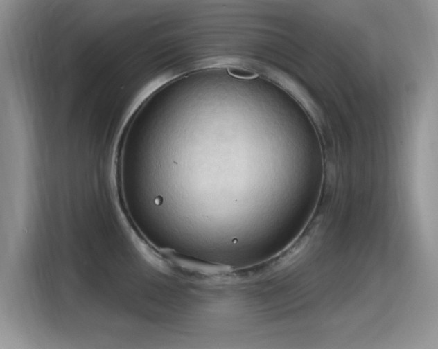 X0000115791050200911201328