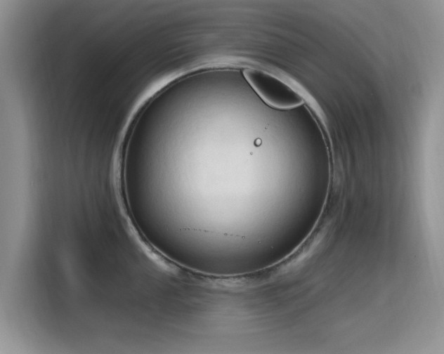 X0000115791053200911201328