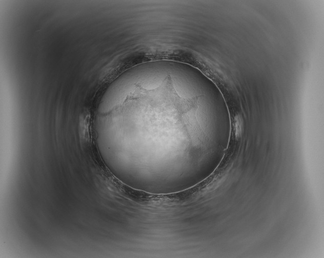 X0000115791059200911201327