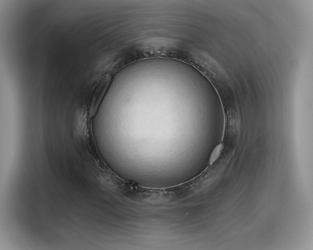 X0000115791060200911201327