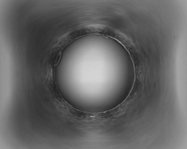 X0000115791061200911201327