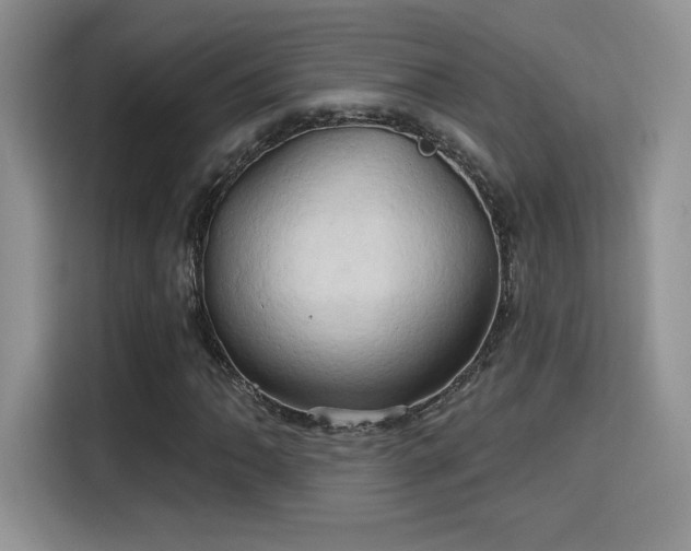 X0000115791062200911201327