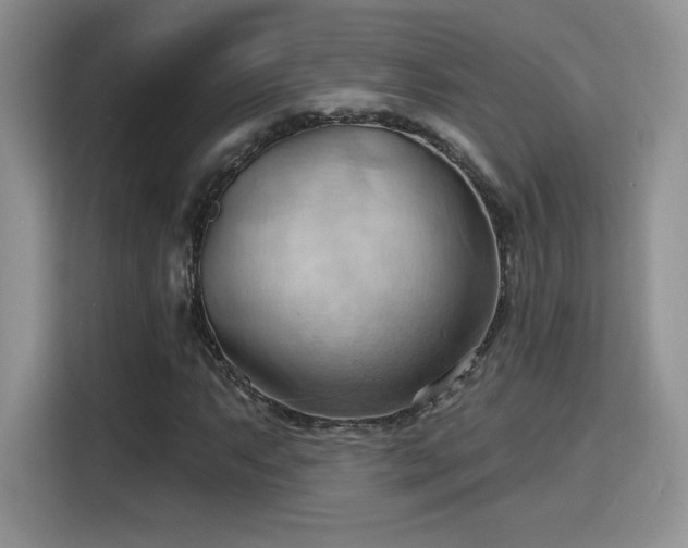 X0000115791063200911201327