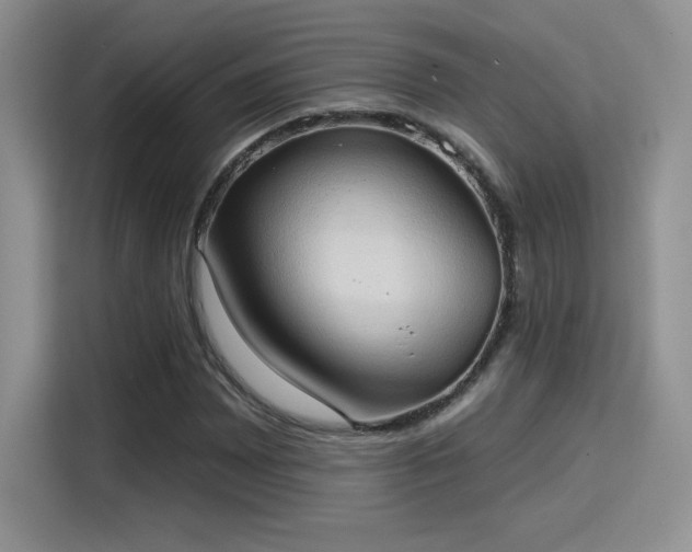 X0000115791065200911201327