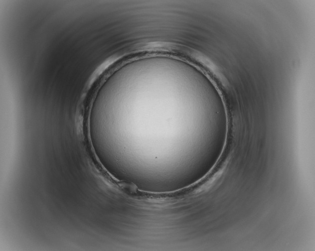 X0000115791066200911201327