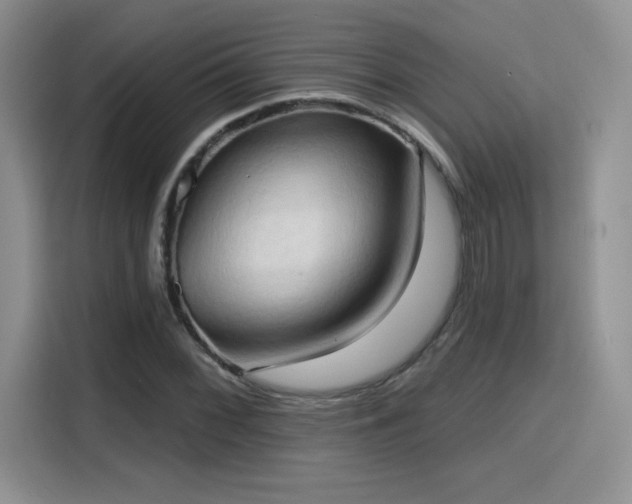 X0000115791068200911201327