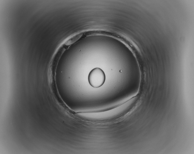 X0000115791069200911201327