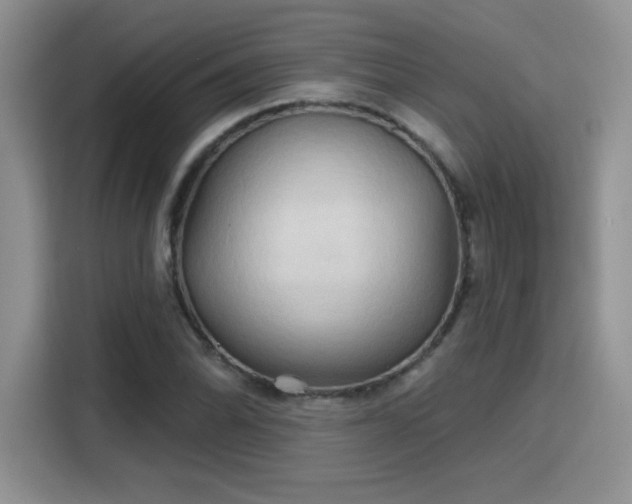 X0000115791070200911201327