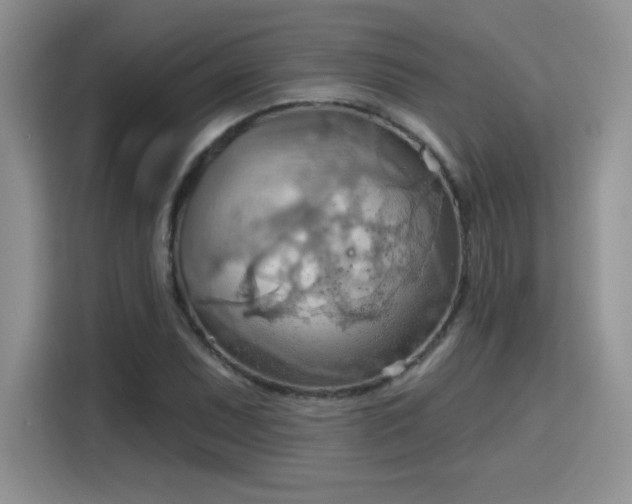 X0000115791071200911201327