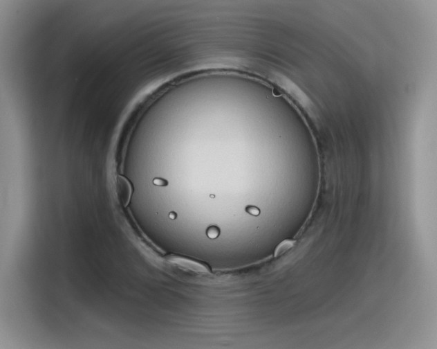 X0000115791072200911201327