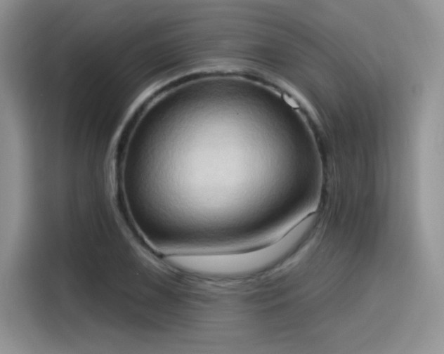 X0000115791075200911201327