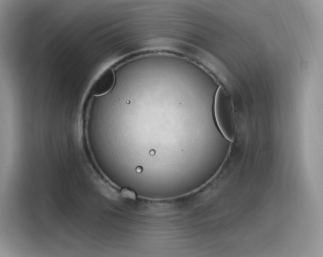 X0000115791076200911201327