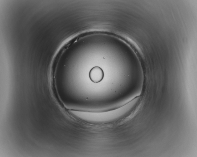 X0000115791077200911201327