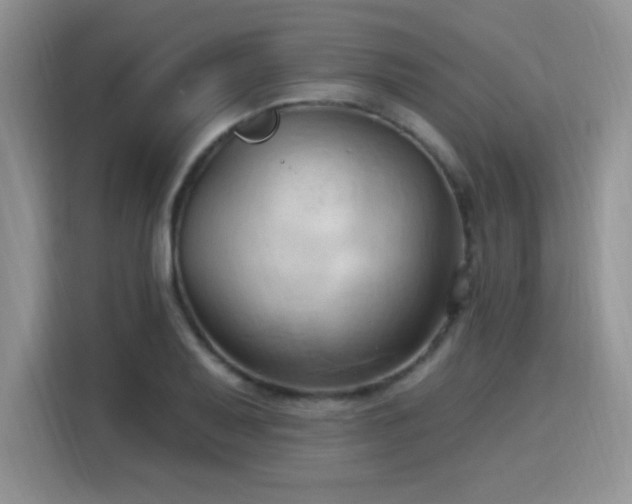 X0000115791079200911201327