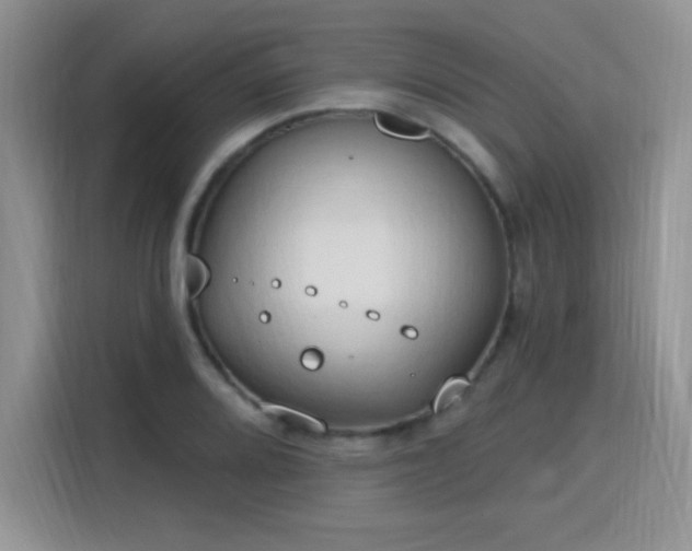 X0000115791080200911201327