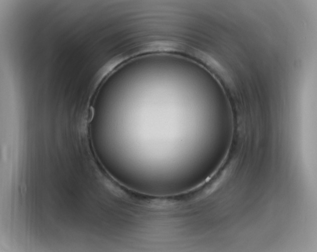 X0000115791081200911201327