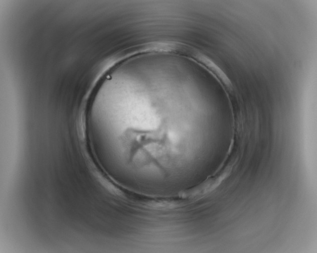 X0000115791083200911201327