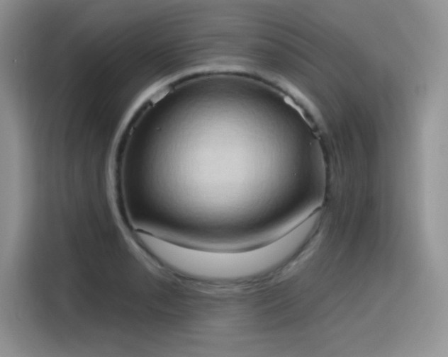 X0000115791085200911201327