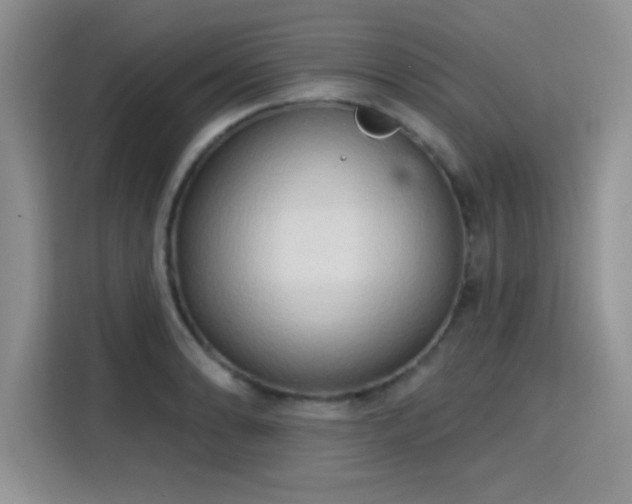 X0000115791086200911201327