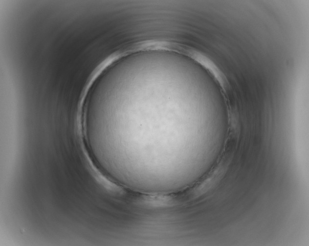 X0000115791090200911201327