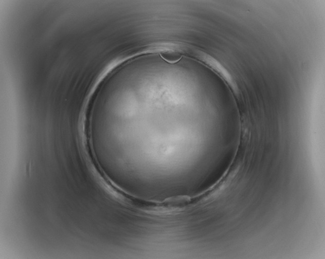 X0000115791091200911201327