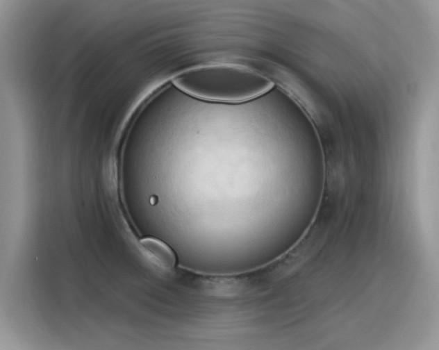 X0000115791092200911201327