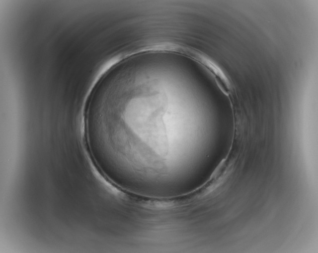 X0000115791095200911201327